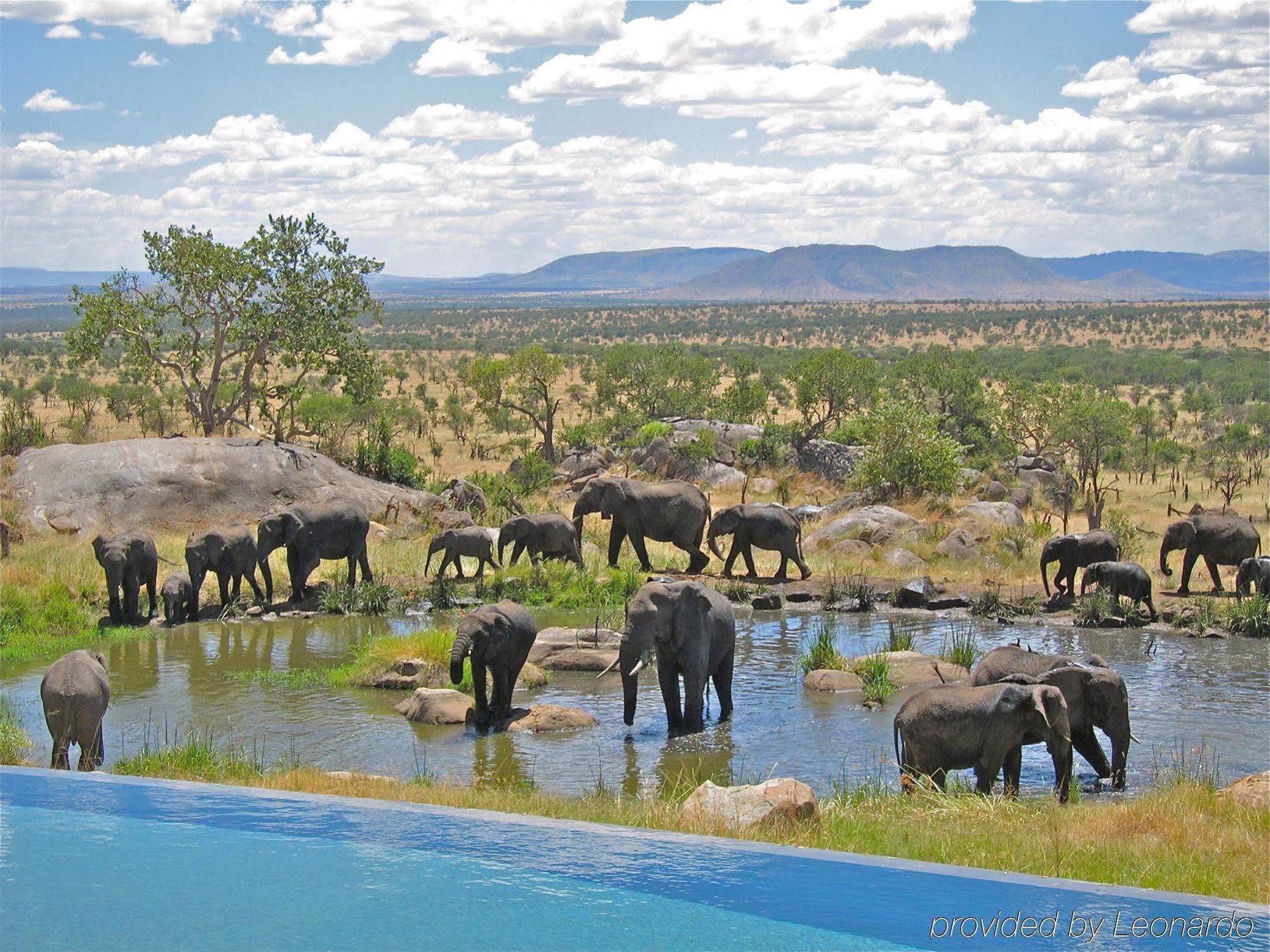 Four Seasons Safari Lodge Serengeti Buitenkant foto